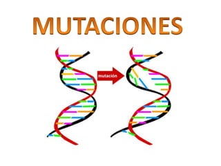 mutaciones geneticas