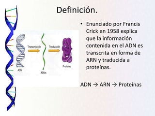 Definición.
• Enunciado por Francis
Crick en 1958 explica
que la información
contenida en el ADN es
transcrita en forma de
ARN y traducida a
proteínas.
ADN → ARN → Proteínas
 
