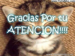 Gracias Por tu
ATENCION!!!!
 