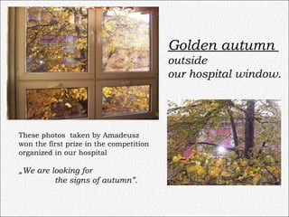 Golden autumn  outside  our hospital window. These photos  taken by Amadeusz won the first prize in the competition organized in our hospital  „ We are looking for the signs of autumn”.   