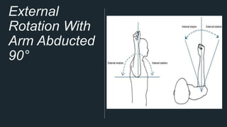 exercise therapy shoulder and scapula free exercise | PPT