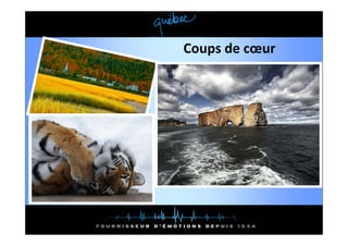 Coups de cœur
 