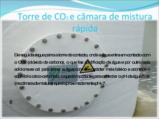 Torre de CO 2  e câmara de mistura rápida De seguida segue parra a torre de contacto, onde a água entra em contacto com o CO2 (dióxido de carbono), o que faz acidificação da água e por outro lado adiciona-se cal para tornar a água com um carácter mais básico e acontece o equilíbrio calco-carbonico, o que é importante para controlar o pH da água final (na câmara de mistura) que é aproximadamente pH=7. 6   