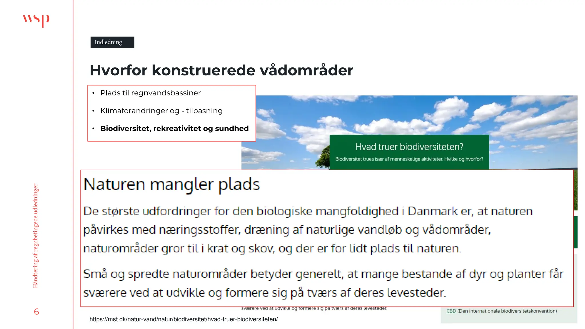 6
Håndtering
af
regnbetingede
udledninger
Hvorfor konstruerede vådområder
Indledning
• Plads til regnvandsbassiner
• Klimaforandringer og - tilpasning
• Biodiversitet, rekreativitet og sundhed
https://mst.dk/natur-vand/natur/biodiversitet/hvad-truer-biodiversiteten/
 