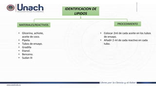 IDENTIFICACION DE
LIPIDOS
MATERIALES/REACTIVOS PROCEDIMIENTO
• Glicerina, achiote,
aceite de coco.
• Pipeta.
• Tubos de ensayo.
• Gradilla
• Etanol.
• Benceno.
• Sudan III
• Colocar 2ml de cada aceite en los tubos
de ensayo.
• Añadir 2 ml de cada reactivo en cada
tubo.
 