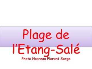 Album photo
par floren
Plage de
l’Etang-Salé
Photo Hoareau Florent Serge
 