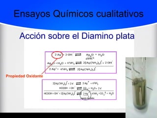Ensayos Químicos cualitativos 
Acción sobre el Diamino plata 
Propiedad Oxidante 
 