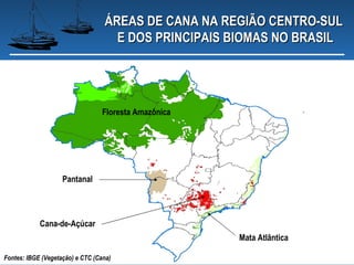 ÁREAS DE CANA NA REGIÃO CENTRO-SUL
                                    E DOS PRINCIPAIS BIOMAS NO BRASIL




                                  Floresta Amazônica




                    Pantanal




            Cana-de-Açúcar
                                                       Mata Atlântica

Fontes: IBGE (Vegetação) e CTC (Cana)
 