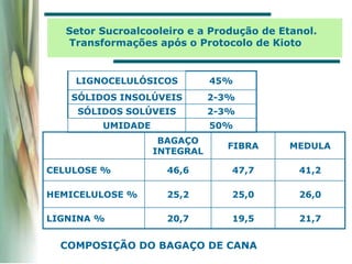 BAGAÇO
INTEGRAL
FIBRA MEDULA
CELULOSE % 46,6 47,7 41,2
HEMICELULOSE % 25,2 25,0 26,0
LIGNINA % 20,7 19,5 21,7
LIGNOCELULÓSICOS 45%
SÓLIDOS INSOLÚVEIS 2-3%
SÓLIDOS SOLÚVEIS 2-3%
UMIDADE 50%
COMPOSIÇÃO DO BAGAÇO DE CANA
Setor Sucroalcooleiro e a Produção de Etanol.
Transformações após o Protocolo de Kioto
 