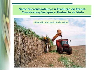 Setor Sucroalcooleiro e a Produção de Etanol.
Transformações após o Protocolo de Kioto
Abolição da queima de cana
 
