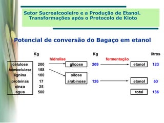 Setor Sucroalcooleiro e a Produção de Etanol.
Transformações após o Protocolo de Kioto
Kg Kg litros
hidrolise fermentação
celulose 200 glicose 209 etanol 123
hemicelulose 158
lignina 100 xilose
proteinas 17 arabinose 126 etanol 63
cinza 25
agua 500 total 186
Potencial de conversão do Bagaço em etanol
 