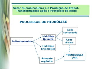 Setor Sucroalcooleiro e a Produção de Etanol.
Transformações após o Protocolo de Kioto
Hidrólise
Química
Hidrólise
Enzimática
Prétratamentos
Solvente
orgânico
Ácido
concentrado
Ácido
diluído
TECNOLOGIA
DHR
 