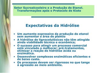 Setor Sucroalcooleiro e a Produção de Etanol.
Transformações após o Protocolo de Kioto
Expectativas da Hidrólise
• Um aumento expressivo da produção do etanol
sem aumentar a área de plantio
• A hidrólise de lignocelulósicos não têm atingido
ainda viabilidade técnica e econômica;
• O sucesso para atingir um processo comercial
está vinculado a melhorar: pré-tratamentos,
otimizar a reação de hidrólise ácida ou
enzimática.
• Desenvolver complexos enzimáticos eficientes e
de baixo custo.
• Os processos devem ser rigorosos no que tange
à agressão ao meio ambiente.
 