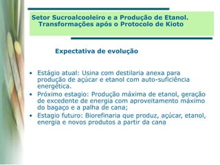 Setor Sucroalcooleiro e a Produção de Etanol.
Transformações após o Protocolo de Kioto
• Estágio atual: Usina com destilaria anexa para
produção de açúcar e etanol com auto-suficiência
energética.
• Próximo estagio: Produção máxima de etanol, geração
de excedente de energia com aproveitamento máximo
do bagaço e a palha de cana;
• Estagio futuro: Biorefinaria que produz, açúcar, etanol,
energia e novos produtos a partir da cana
Expectativa de evolução
 