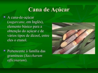 Cana de AçúcarCana de Açúcar
 A cana-de-açúcarA cana-de-açúcar
((sugarcanesugarcane, em Inglês),, em Inglês),
elemento básico para aelemento básico para a
obtenção do açúcar e deobtenção do açúcar e de
vários tipos de álcool, entrevários tipos de álcool, entre
eles o etanol.eles o etanol.
 Pertencente à família dasPertencente à família das
gramíneas (gramíneas (SaccharumSaccharum
officinarumofficinarum).).
 