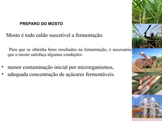 PREPARO DO MOSTO
Mosto é todo caldo suscetível a fermentação.
Para que se obtenha bons resultados na fermentação, é necessário
que o mosto satisfaça algumas condições:
• menor contaminação inicial por microrganismos,
• adequada concentração de açúcares fermentáveis.
 