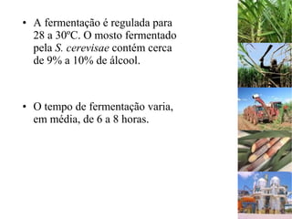 • A fermentação é regulada para
28 a 30ºC. O mosto fermentado
pela S. cerevisae contém cerca
de 9% a 10% de álcool.
• O tempo de fermentação varia,
em média, de 6 a 8 horas.
 