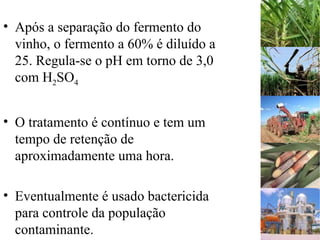 • Após a separação do fermento do
vinho, o fermento a 60% é diluído a
25. Regula-se o pH em torno de 3,0
com H2SO4
• O tratamento é contínuo e tem um
tempo de retenção de
aproximadamente uma hora.
• Eventualmente é usado bactericida
para controle da população
contaminante.
 