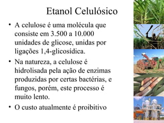 Etanol Celulósico
• A celulose é uma molécula que
consiste em 3.500 a 10.000
unidades de glicose, unidas por
ligações 1,4-glicosídica.
• Na natureza, a celulose é
hidrolisada pela ação de enzimas
produzidas por certas bactérias, e
fungos, porém, este processo é
muito lento.
• O custo atualmente é proibitivo
 