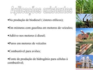 •Na produção de biodiesel ( ésteres etílicos);
•Em misturas com gasolina em motores de veículos;
•Aditivo nos motores á diesel;
•Puros em motores de veículos
•Combustível para aviões;
•Fonte de produção de hidrogênio para células á
combustível;
 