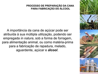 PROCESSO DE PREPARAÇÃO DA CANA
PARA FABRICAÇÃO DO ÁLCOOL
A importância da cana de açúcar pode ser
atribuída à sua múltipla utilização, podendo ser
empregada in natura, sob a forma de forragem,
para alimentação animal, ou como matéria-prima
para a fabricação de rapadura, melado,
aguardente, açúcar e álcool.
 