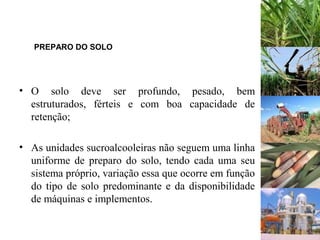 PREPARO DO SOLO
• O solo deve ser profundo, pesado, bem
estruturados, férteis e com boa capacidade de
retenção;
• As unidades sucroalcooleiras não seguem uma linha
uniforme de preparo do solo, tendo cada uma seu
sistema próprio, variação essa que ocorre em função
do tipo de solo predominante e da disponibilidade
de máquinas e implementos.
 