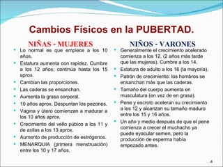 Cambios Físicos en la PUBERTAD. NIÑAS - MUJERES NIÑOS - VARONES Lo normal es que empiece a los 10 años. Estatura aumenta con rapidez. Cumbre a los 12 años; continúa hasta los 15 aprox. Cambian las proporciones. Las caderas se ensanchan. Aumenta la grasa corporal. 10 años aprox. Despuntan los pezones. Vagina y útero comienzan a madurar a los 10 años aprox. Crecimiento del vello púbico a los 11 y de axilas a los 13 aprox. Aumento de producción de estrógenos. MENARQUIA (primera menstruación) entre los 10 y 17 años. Generalmente el crecimiento acelerado comienza a los 12. (2 años más tarde que las mujeres). Cumbre a los 14. Estatura de adulto a los 16 (la mayoría). Patrón de crecimiento: los hombros se ensanchan más que las caderas. Tamaño del cuerpo aumenta en musculatura (en vez de en grasa). Pene y escroto aceleran su crecimiento a los 12 y alcanzan su tamaño maduro entre los 15 y 16 años. Un año y medio después de que el pene comienza a crecer el muchacho ya puede eyacular semen, pero la producción de esperma había empezado antes. 