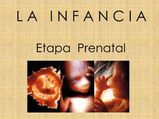 LA INFANCIA

 Etapa Prenatal
 