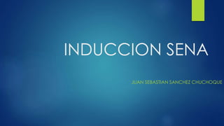 INDUCCION SENA
JUAN SEBASTIAN SANCHEZ CHUCHOQUE
 