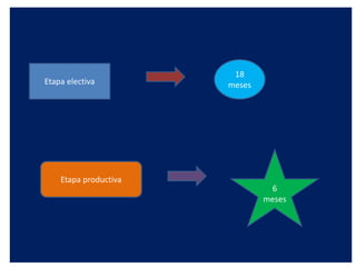 Etapa electiva
18
meses
Etapa productiva
6
meses