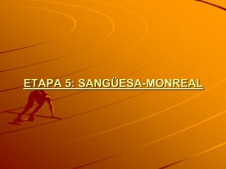 ETAPA 5: SANGÜESA-MONREAL
 