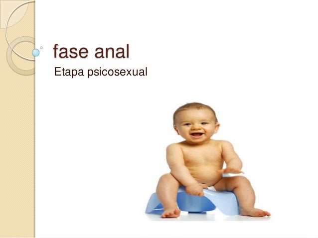 Fase Anal 49