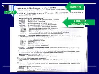 DOMINIO
ETIQUETA
DIAGNOSTICA
CLASE
 