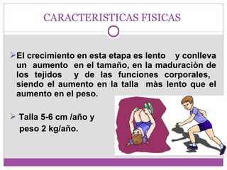 CARACTERISTICAS FISICAS 
El crecimiento en esta etapa es lento y conlleva 
un aumento en el tamaño, en la maduraciòn de 
los tejidos y de las funciones corporales, 
siendo el aumento en la talla màs lento que el 
aumento en el peso. 
 Talla 5-6 cm /año y 
peso 2 kg/año. 
 