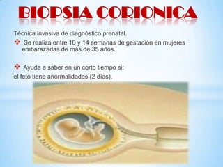 BIOPSIA CORIONICA
Técnica invasiva de diagnóstico prenatal.
 Se realiza entre 10 y 14 semanas de gestación en mujeres
embarazadas de más de 35 años.



Ayuda a saber en un corto tiempo si:
el feto tiene anormalidades (2 días).

 