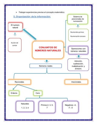  Trabajar experiencias previas al concepto matemático.
5. Organización de la información:
CONJUNTOS DE
NÚMEROS NATURALES
El numero
natural
Acción de
contar
Sistema de
posicionales de
numeración
Numeralesprimos
Numeraciónromana
Operaciones con
números naturales
Adicción,
sustracción,
multiplicación y
división.
Números reales
Racionales Irracionales
Enteros Cero
Naturales
1, 2, 3, 4
Primos 2, 3, 5,
7
Negativos -4,
-7, -2
 