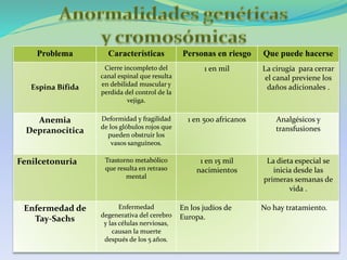 Problema Características Personas en riesgo Que puede hacerse
Espina Bífida
Cierre incompleto del
canal espinal que resulta
en debilidad muscular y
perdida del control de la
vejiga.
1 en mil La cirugía para cerrar
el canal previene los
daños adicionales .
Anemia
Depranocitica
Deformidad y fragilidad
de los glóbulos rojos que
pueden obstruir los
vasos sanguíneos.
1 en 500 africanos Analgésicos y
transfusiones
Fenilcetonuria Trastorno metabólico
que resulta en retraso
mental
1 en 15 mil
nacimientos
La dieta especial se
inicia desde las
primeras semanas de
vida .
Enfermedad de
Tay-Sachs
Enfermedad
degenerativa del cerebro
y las células nerviosas,
causan la muerte
después de los 5 años.
En los judíos de
Europa.
No hay tratamiento.
 