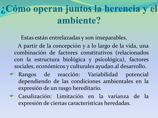 ¿Cómo operan juntos la herencia y el
ambiente?
Estas están entrelazadas y son inseparables.
A partir de la concepción y a lo largo de la vida, una
combinación de factores constitutivos (relacionados
con la estructura biológica y psicológica), factores
sociales, económicos y culturales ayudan al desarrollo.
 Rangos de reacción: Variabilidad potencial
dependiendo de las condiciones ambientales en la
expresión de un rasgo hereditario.
 Canalización: Limitación en la varianza de la
expresión de ciertas características heredadas.
 