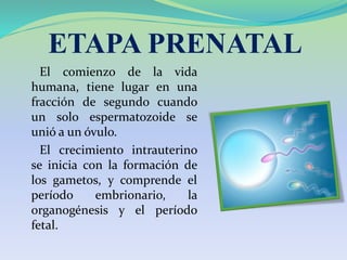 ETAPA PRENATAL
El comienzo de la vida
humana, tiene lugar en una
fracción de segundo cuando
un solo espermatozoide se
unió a un óvulo.
El crecimiento intrauterino
se inicia con la formación de
los gametos, y comprende el
período embrionario, la
organogénesis y el período
fetal.
 