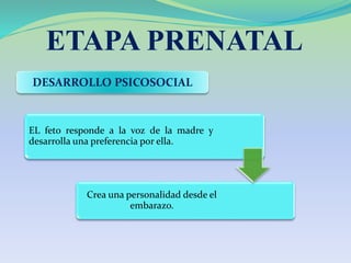 ETAPA PRENATAL
DESARROLLO PSICOSOCIAL
EL feto responde a la voz de la madre y
desarrolla una preferencia por ella.
Crea una personalidad desde el
embarazo.
 