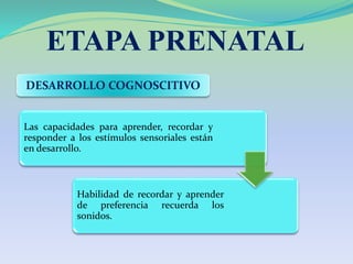 BENEFICIOS DE LA
ESTIMULACION PRENATAL
1
• Mejora la interacción de la madre, del padre y del bebé en formación.
• Optimiz...