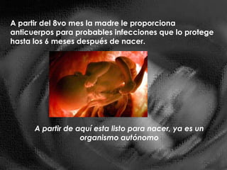 Se trata de un proceso de adaptación que determina el dominio de si mismo y del ambiente, pudiendo ser capaz de utilizar sus capacidades motrices como medio de comunicaciónSe trata de un proceso en el que se manifiesta una progresiva integración motriz que trae consigo diferentes niveles de intervención y aprendizaje.Formula:DESARROLLO =       MADURACIÓN                                 MEDIONo puede haber desarrollo sin que ambos elementos funcionen. 