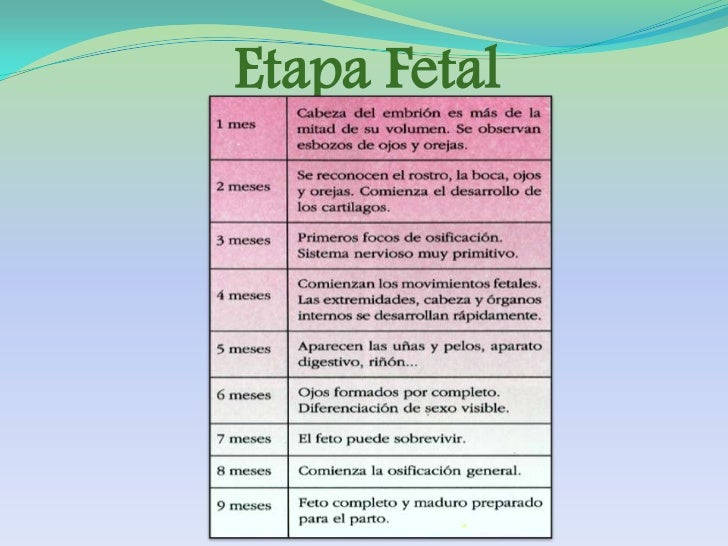 PsicOlOgìa del DesarrOllO Etapa prenatal