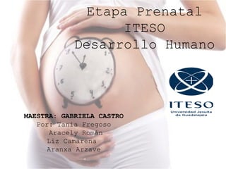 Etapa Prenatal
                   ITESO
            Desarrollo Humano




MAESTRA: GABRIELA CASTRO
   Por: Tania Fregoso
       Aracely Román
      Liz Camarena
      Aranxa Arzave
 