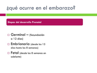 ¿qué ocurre en el embarazo?
Etapas del desarrollo Prenatal



Germinal – (fecundación
a 12 días)



Embrionaria (desde los 13
días hasta las 8 semanas)



Fetal (desde las 8 semanas en
adelante)

 