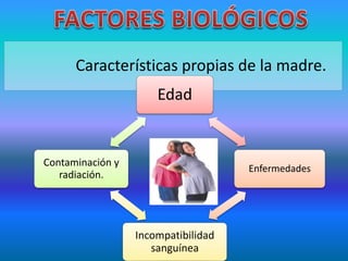 Características propias de la madre.
Edad
Enfermedades
Incompatibilidad
sanguínea
Contaminación y
radiación.
 