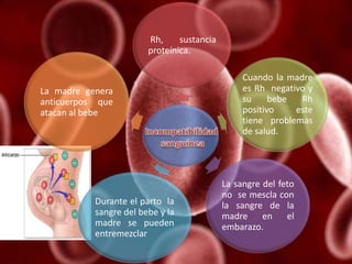 Rh, sustancia
proteínica.
Cuando la madre
es Rh negativo y
su bebe Rh
positivo este
tiene problemas
de salud.
La sangre del feto
no se mescla con
la sangre de la
madre en el
embarazo.
Durante el parto la
sangre del bebe y la
madre se pueden
entremezclar
La madre genera
anticuerpos que
atacan al bebe
 