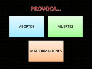 ABORTOS MUERTES
MALFORMACIONES
 