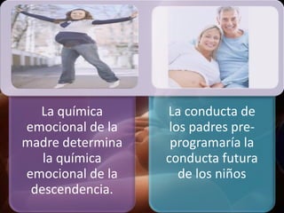 La química
emocional de la
madre determina
la química
emocional de la
descendencia.
La conducta de
los padres pre-
programaría la
conducta futura
de los niños
 