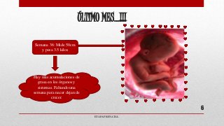 Etapa Prenatal, causas que provocan sus mal formaciones y ...